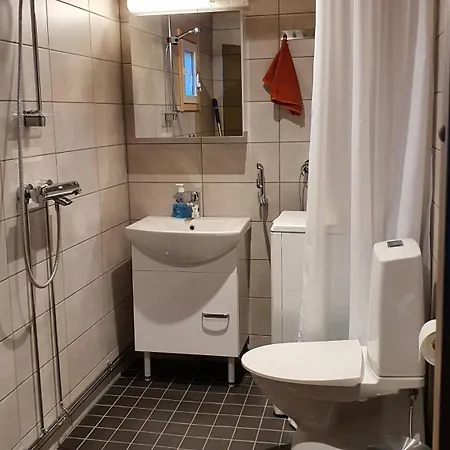 Salme Lemmikkiystaevaellinen Moekki Taivalkoskella Jokijaerven Rannalla