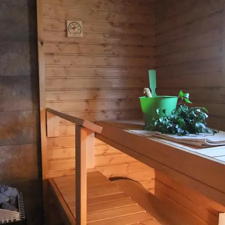 Salme Lemmikkiystaevaellinen Moekki Taivalkoskella Jokijaerven Rannalla