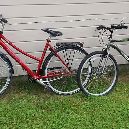 Salme Lemmikkiystaevaellinen Moekki Taivalkoskella Jokijaerven Rannalla *