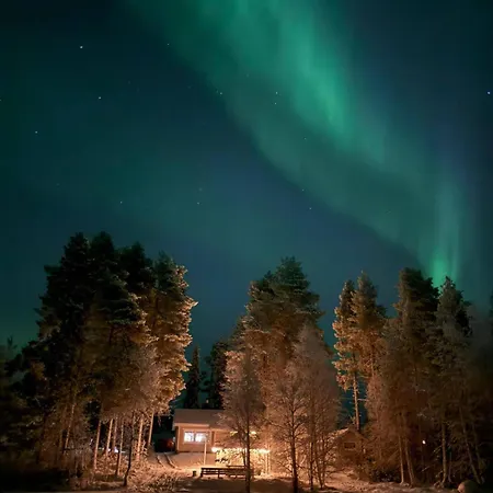 Salme Lemmikkiystaevaellinen Moekki Taivalkoskella Jokijaerven Rannalla *