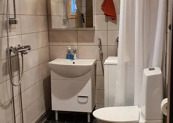 Salme Lemmikkiystaevaellinen Moekki Taivalkoskella Jokijaerven Rannalla