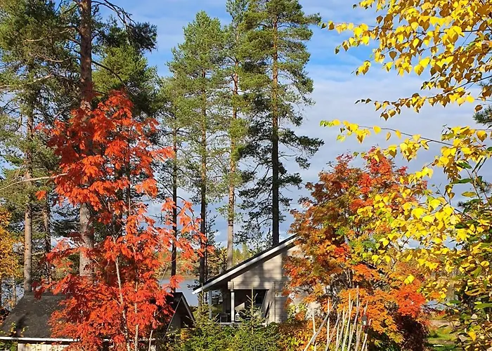 샬레 Salme Lemmikkiystaevaellinen Moekki Taivalkoskella Jokijaerven Rannalla *