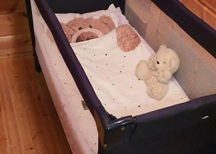 Salme Lemmikkiystaevaellinen Moekki Taivalkoskella Jokijaerven Rannalla