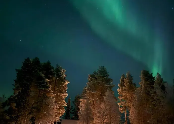 Salme Lemmikkiystaevaellinen Moekki Taivalkoskella Jokijaerven Rannalla *